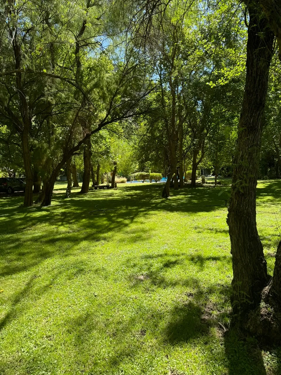 Parque arbolado